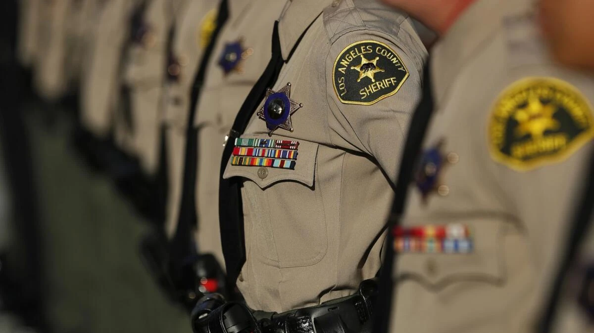 LSSD Badge